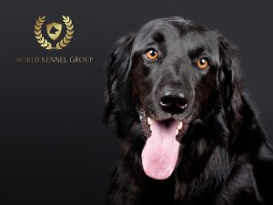 Добро пожаловать в World Kennel Group